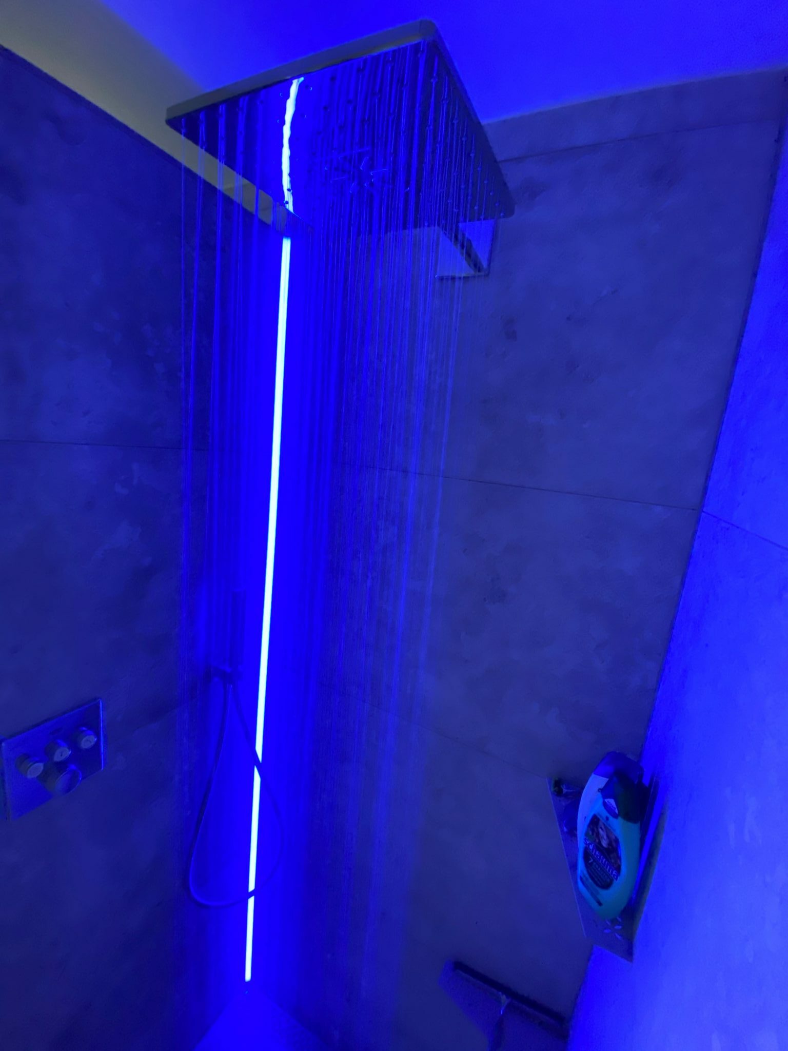 13-e1607018291981